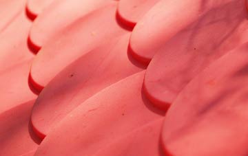 Moorsholm plastic roof costs