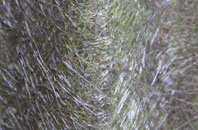 Moorsholm fibreglass roof work